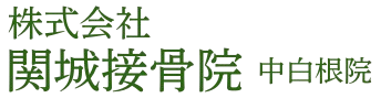 株式会社関城接骨院 中白根院