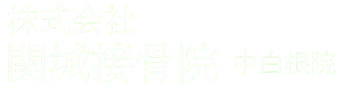株式会社関城接骨院 中白根院